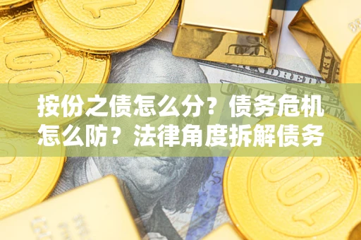 武汉按份之债怎么分？债务危机怎么防？法律角度拆解债务分配与风险自保指南