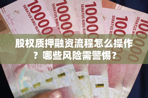 武汉股权质押融资流程怎么操作？哪些风险需警惕？