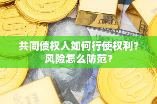 武汉共同债权人如何行使权利？风险怎么防范？