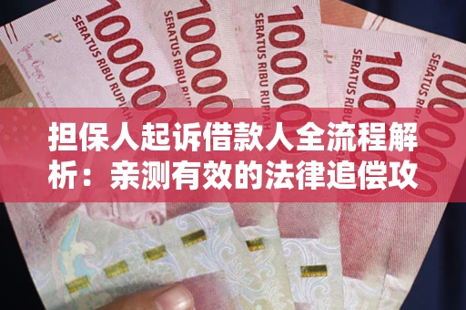 武汉担保人起诉借款人全流程解析：亲测有效的法律追偿攻略