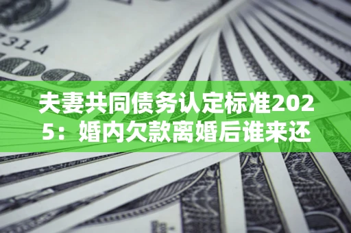 武汉夫妻共同债务认定标准2025：婚内欠款离婚后谁来还？