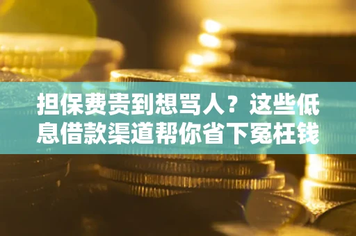 武汉担保费贵到想骂人？这些低息借款渠道帮你省下冤枉钱