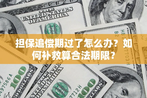 武汉担保追偿期过了怎么办？如何补救算合法期限？