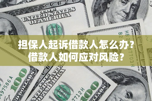武汉担保人起诉借款人怎么办？借款人如何应对风险？