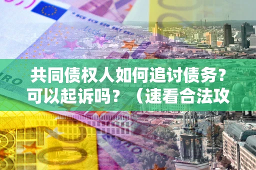 武汉共同债权人如何追讨债务？可以起诉吗？（速看合法攻略）