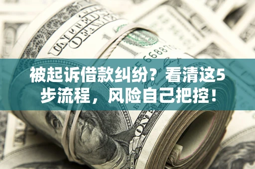 武汉被起诉借款纠纷？看清这5步流程，风险自己把控！