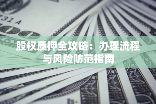 武汉股权质押全攻略：办理流程与风险防范指南