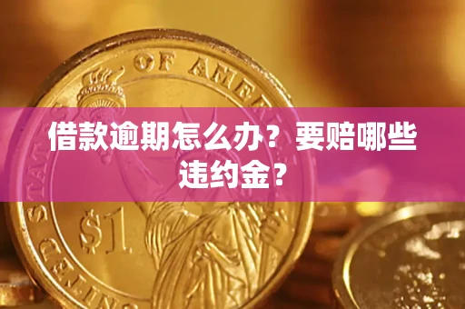 武汉借款逾期怎么办？要赔哪些违约金？